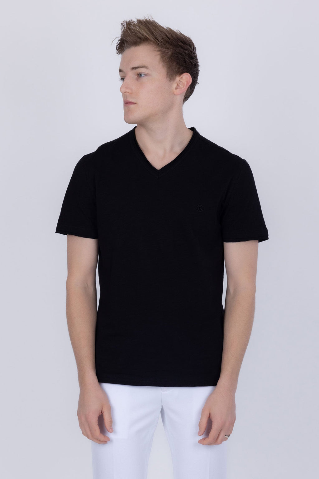 Agra V-Neck Solid T-Shirt