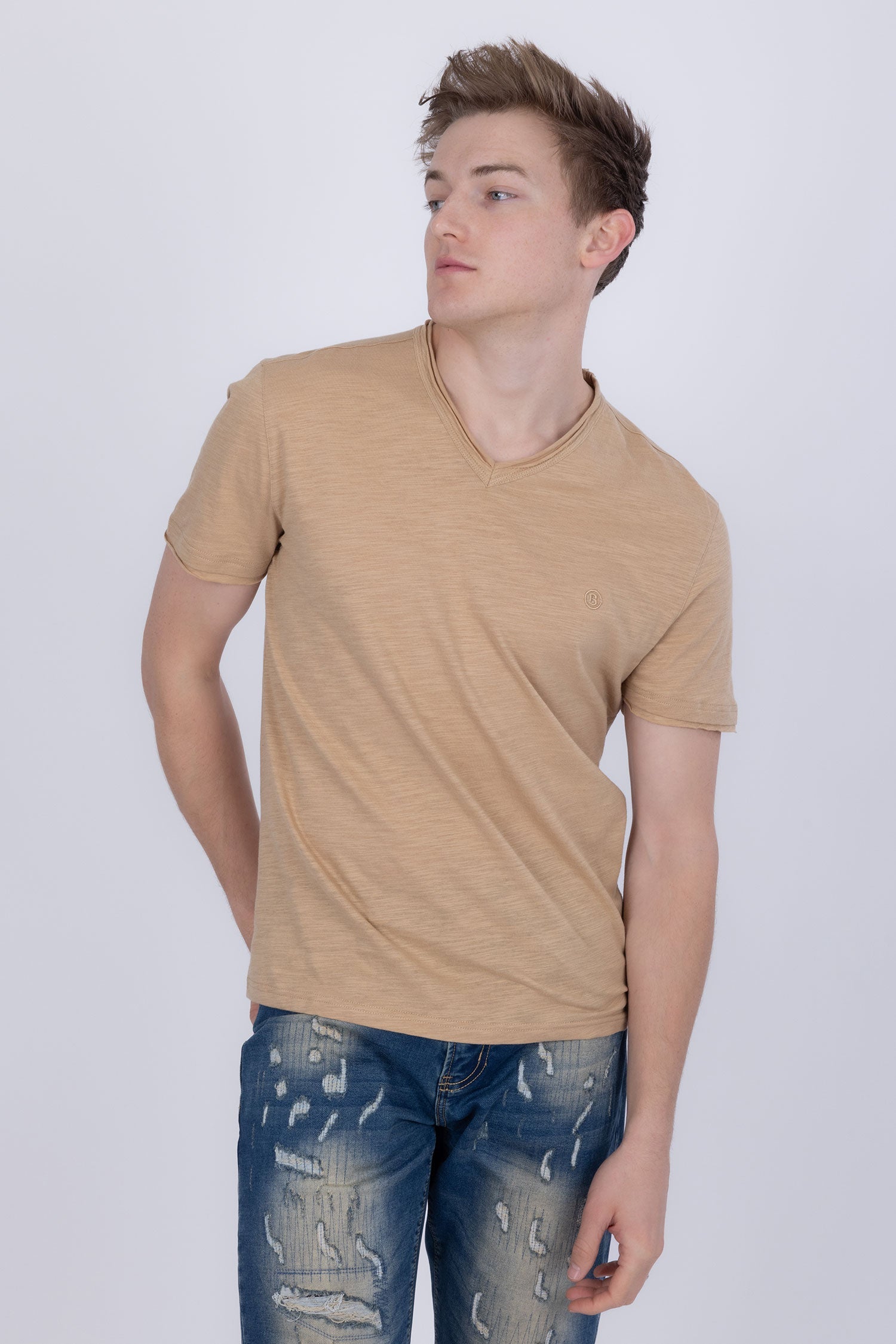 Agra V-Neck Solid T-Shirt