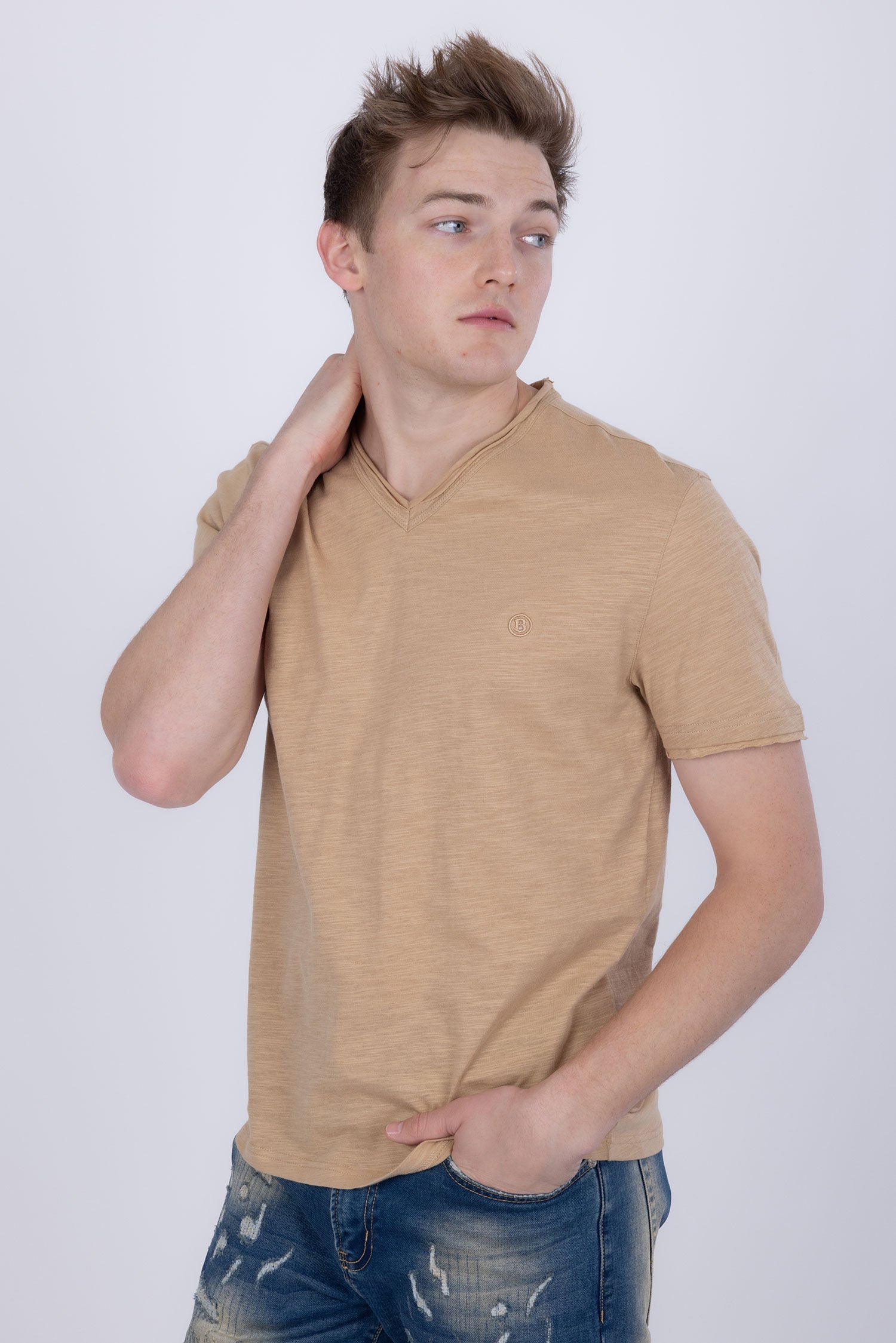 Agra V-Neck Solid T-Shirt