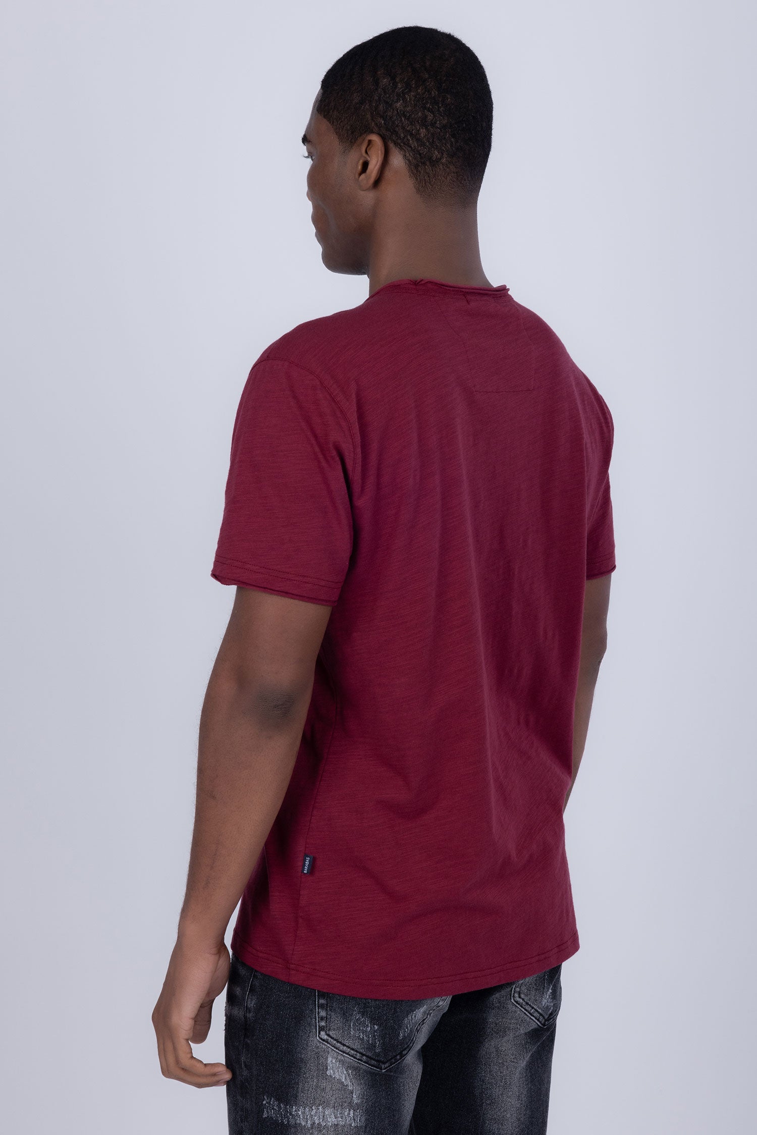 Agra V-Neck Solid T-Shirt