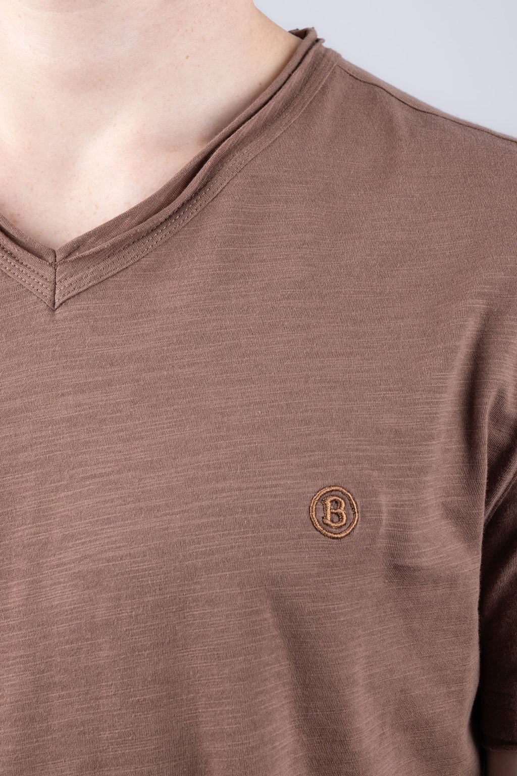 Agra V-Neck Solid T-Shirt