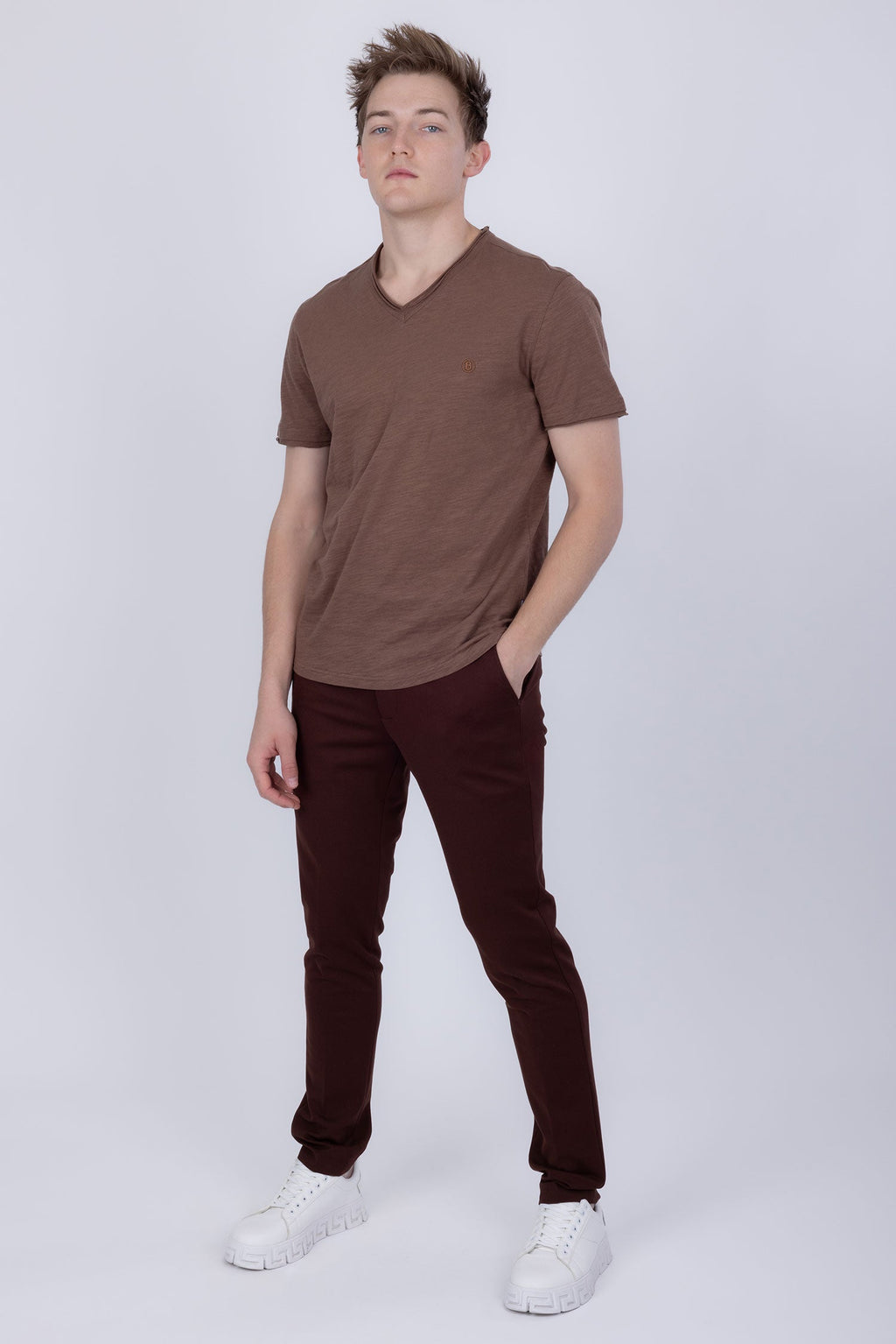Agra V-Neck Solid T-Shirt