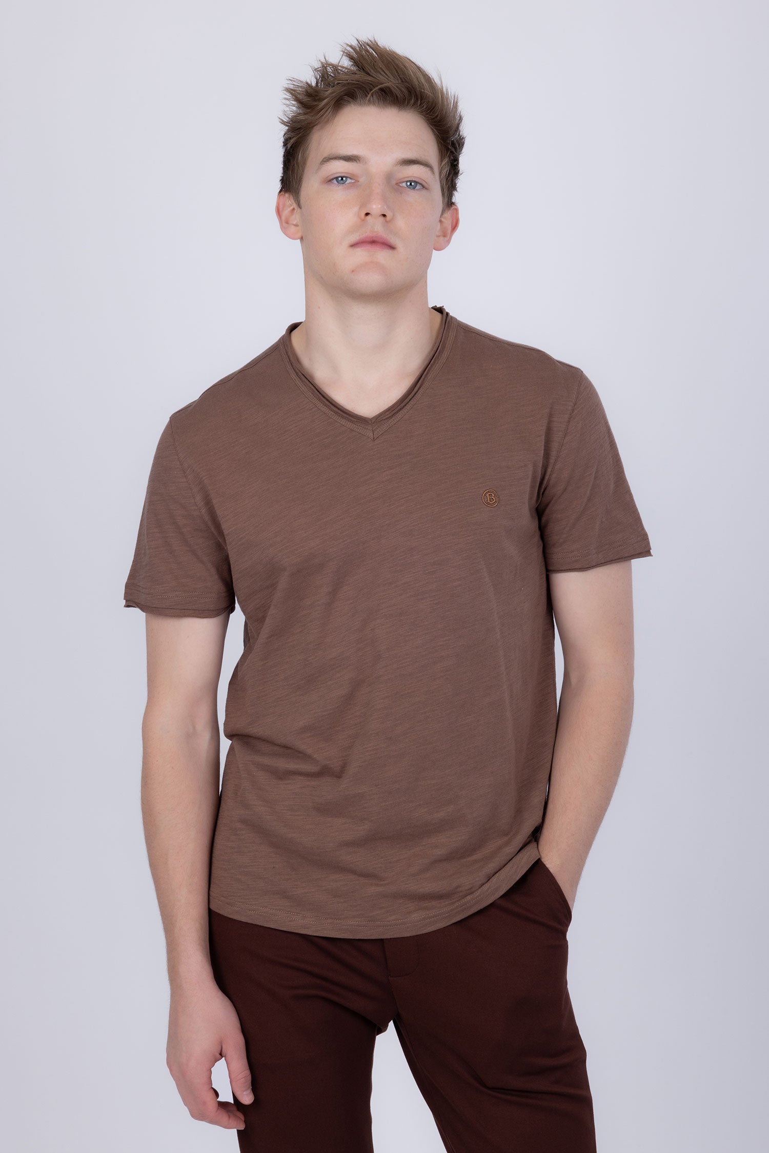 Agra V-Neck Solid T-Shirt