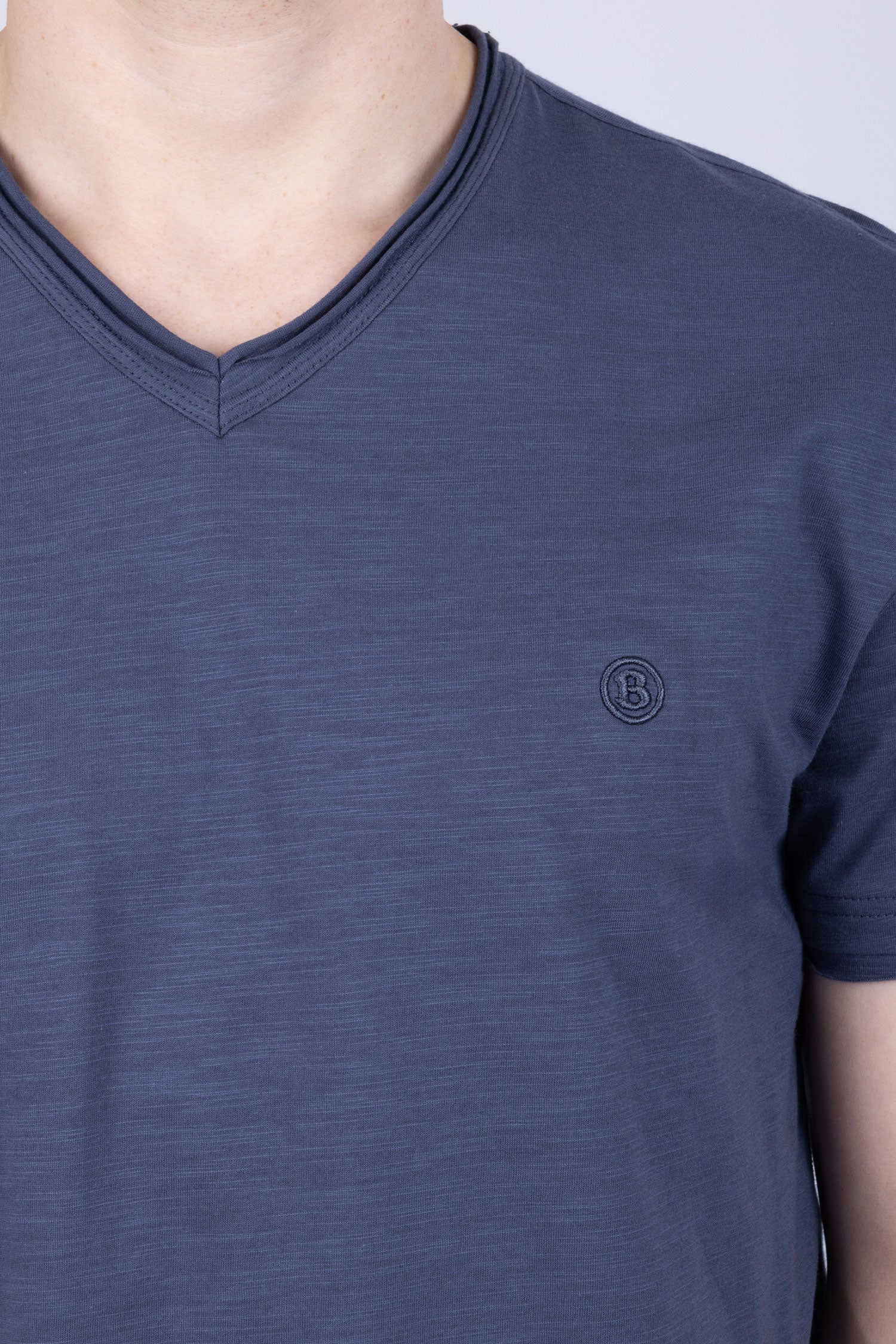 Agra V-Neck Solid T-Shirt