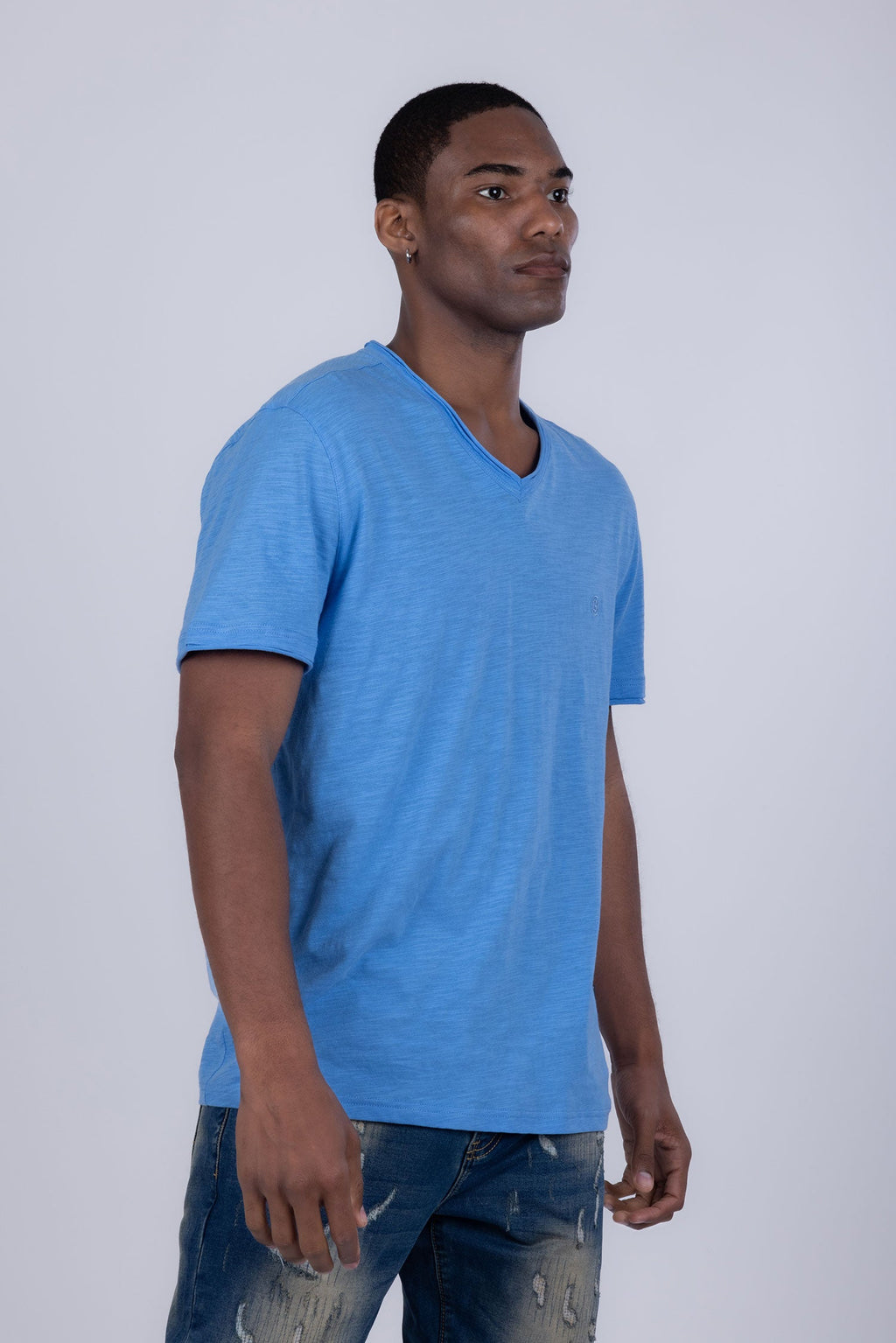 Agra V-Neck Solid T-Shirt